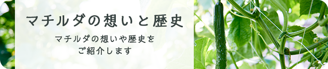 マチルダの想いと歴史 マチルダの想いや歴史をご紹介します