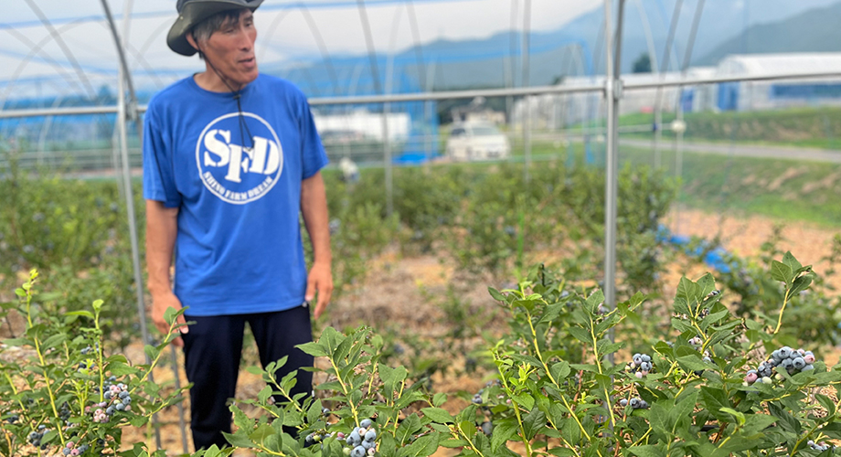 ブルーベリー農園と篠原信一さん