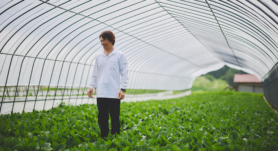 栽培ハウスと渡會那央さん