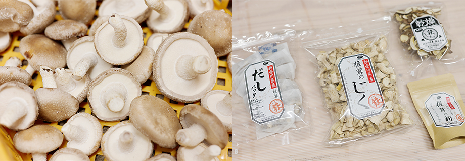 出荷されるシイタケ、乾燥シイタケやだしパックなどの加工商品